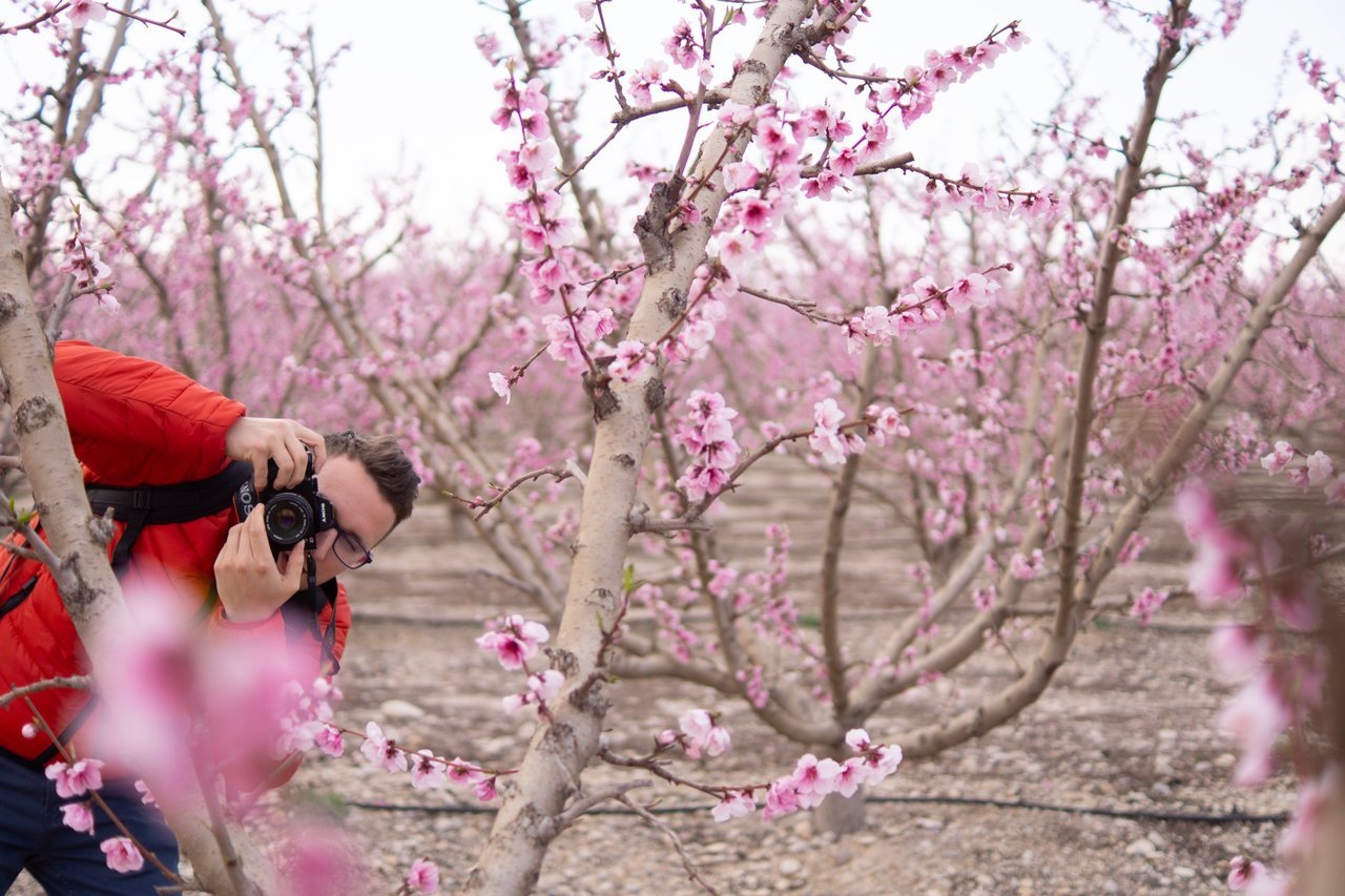 Abel López fotografiando la floración de los melocotoneros en Cieza.